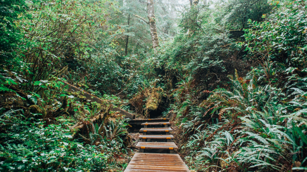 latta nature preserve trails