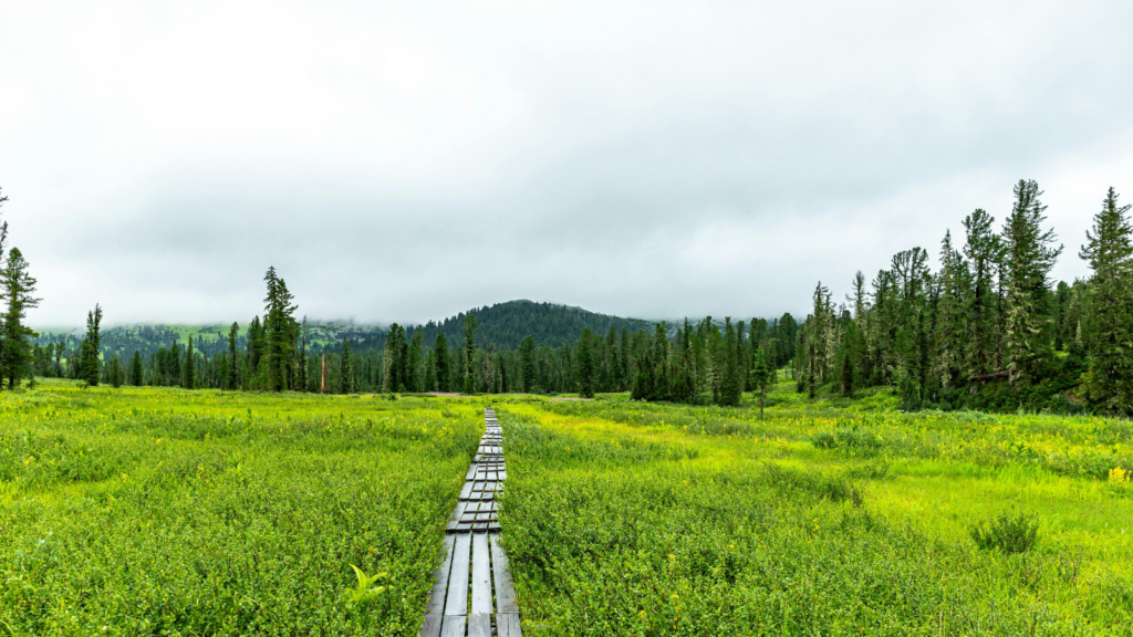 trexler nature preserve trails