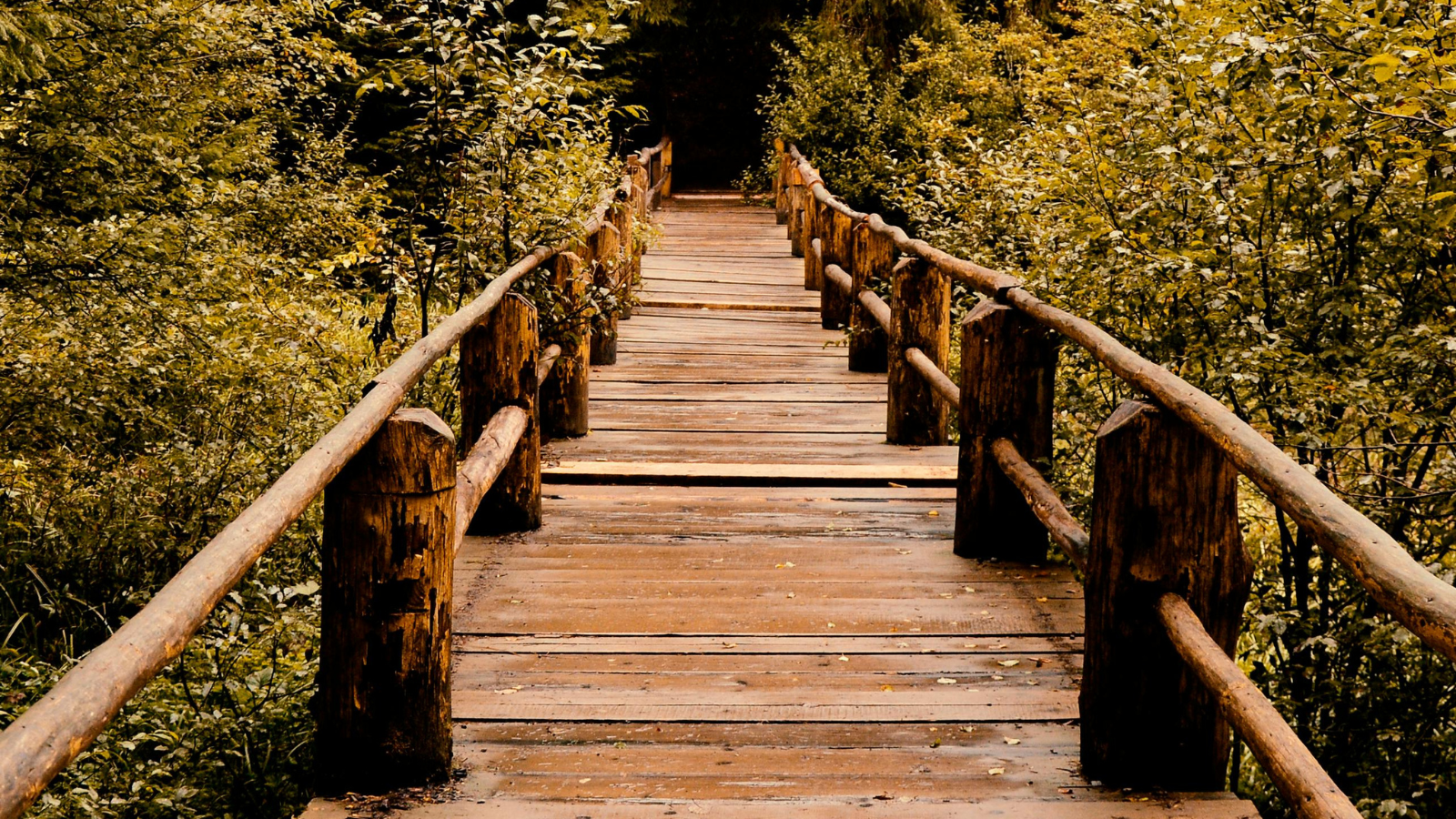 raven run nature sanctuary trails